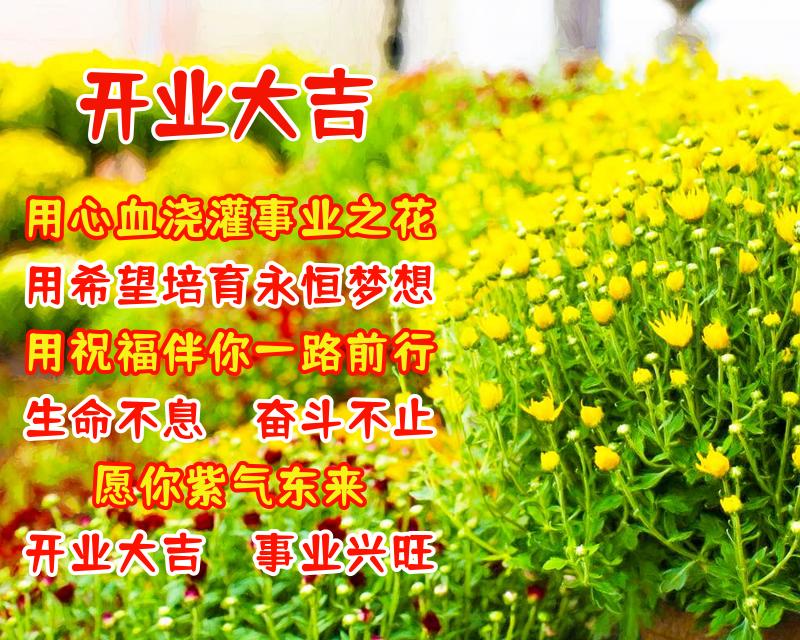 送给朋友的美好暖心祝福语，好看的祝福图片带文字