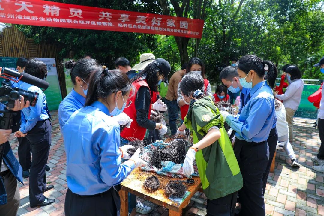 爱鸟周 | 共同守护蓝天精灵，救助鸟类安家百灵花鸟世界