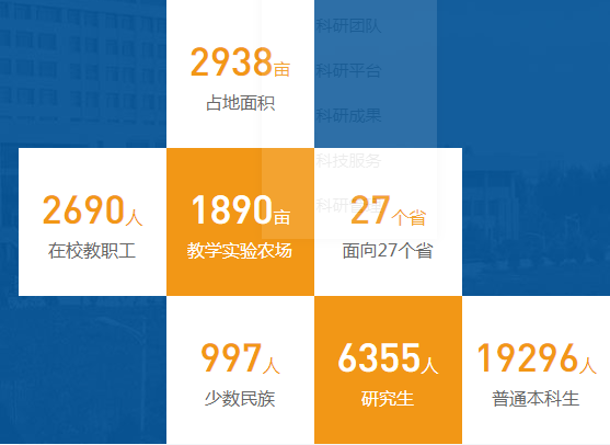 先睹为快！宁夏大学2022年艺术类专业招生计划及录取原则公布