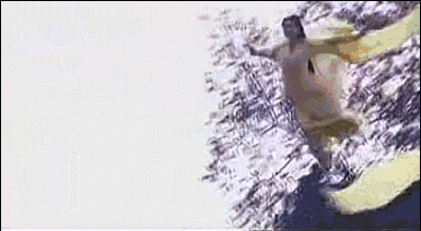 明明只出现三两集，却抢走主角的光！这些“酱油美人”你记得吗？