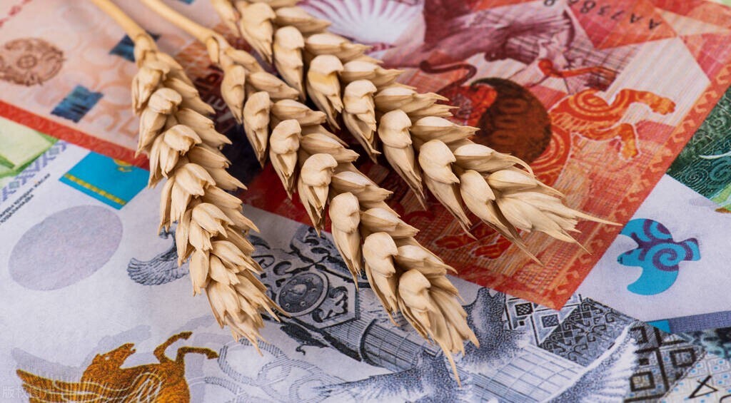 渭南市今日小麦价格「今日山西运城小麦价多少?」