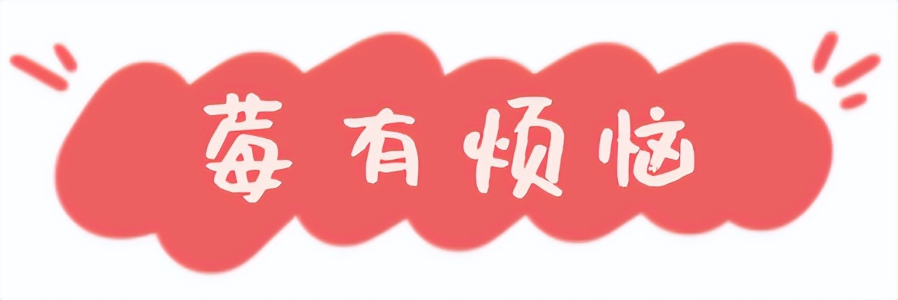 潭小融带你玩转“五一”小长假