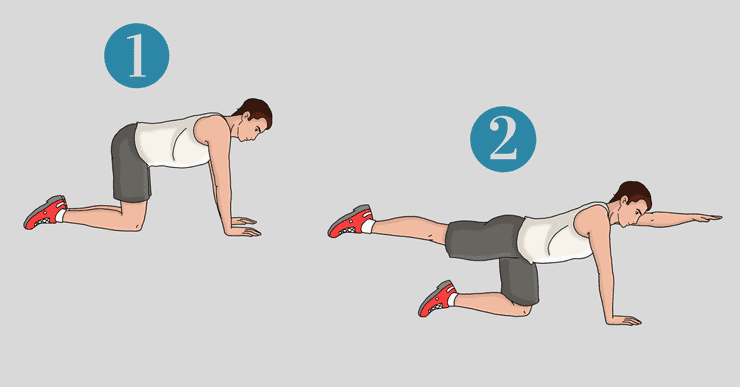 如何锻炼腰部肌肉（6个腰背核心肌群锻炼和伸展动作图解）