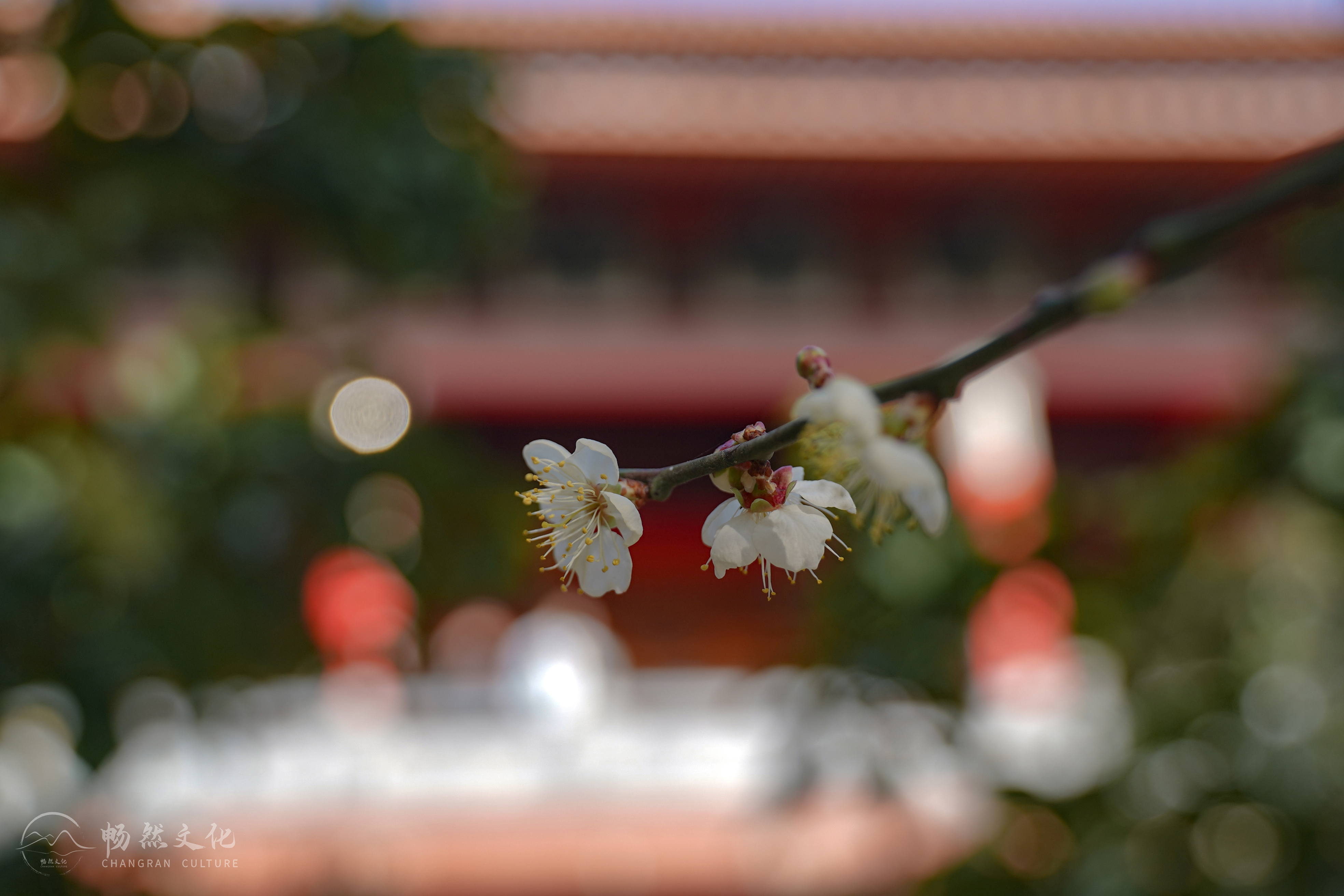 福州旗山万佛寺（福州旗山万佛寺图片）-第40张图片-科灵网