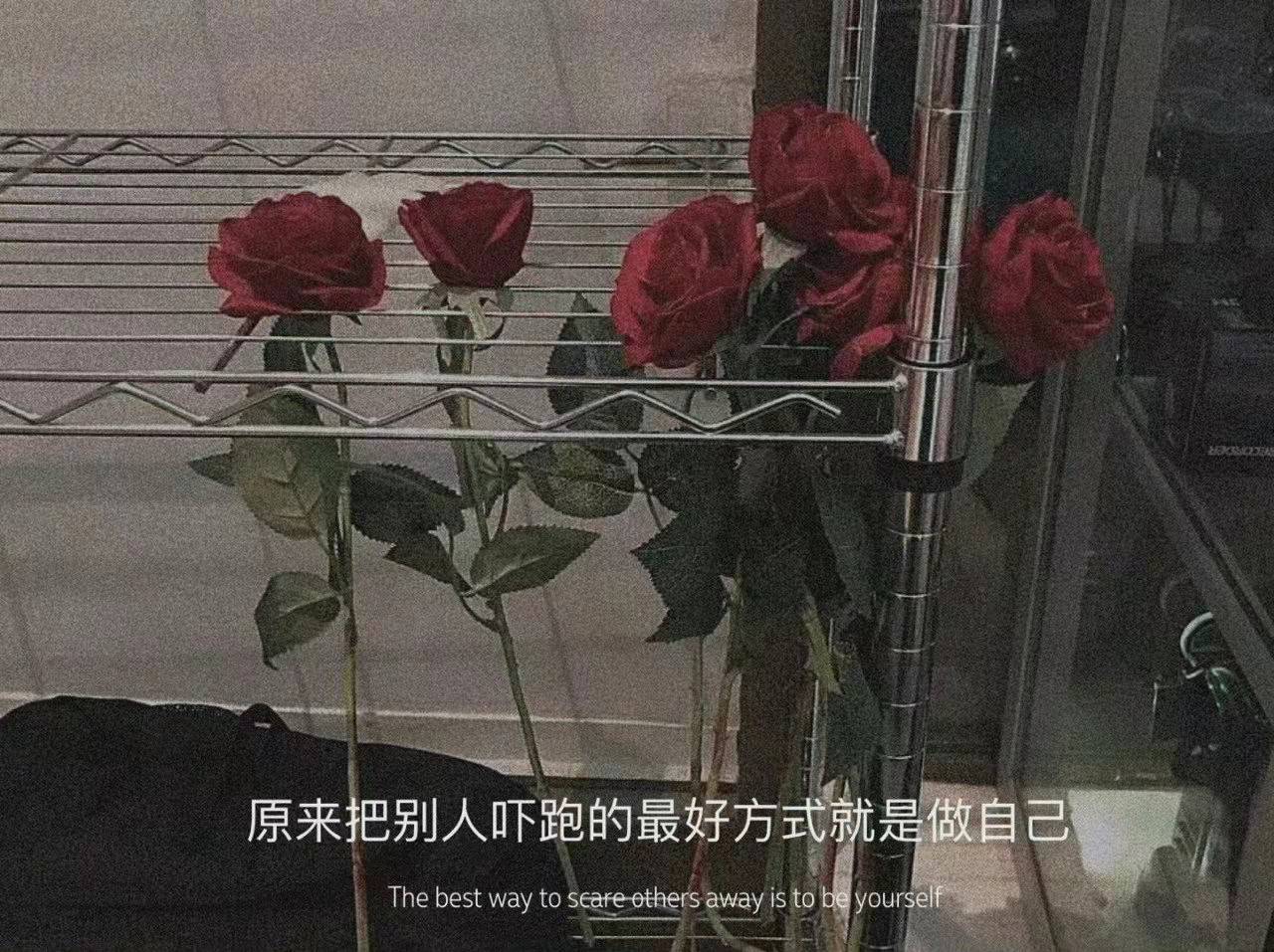 丧到极致的个人状态文案