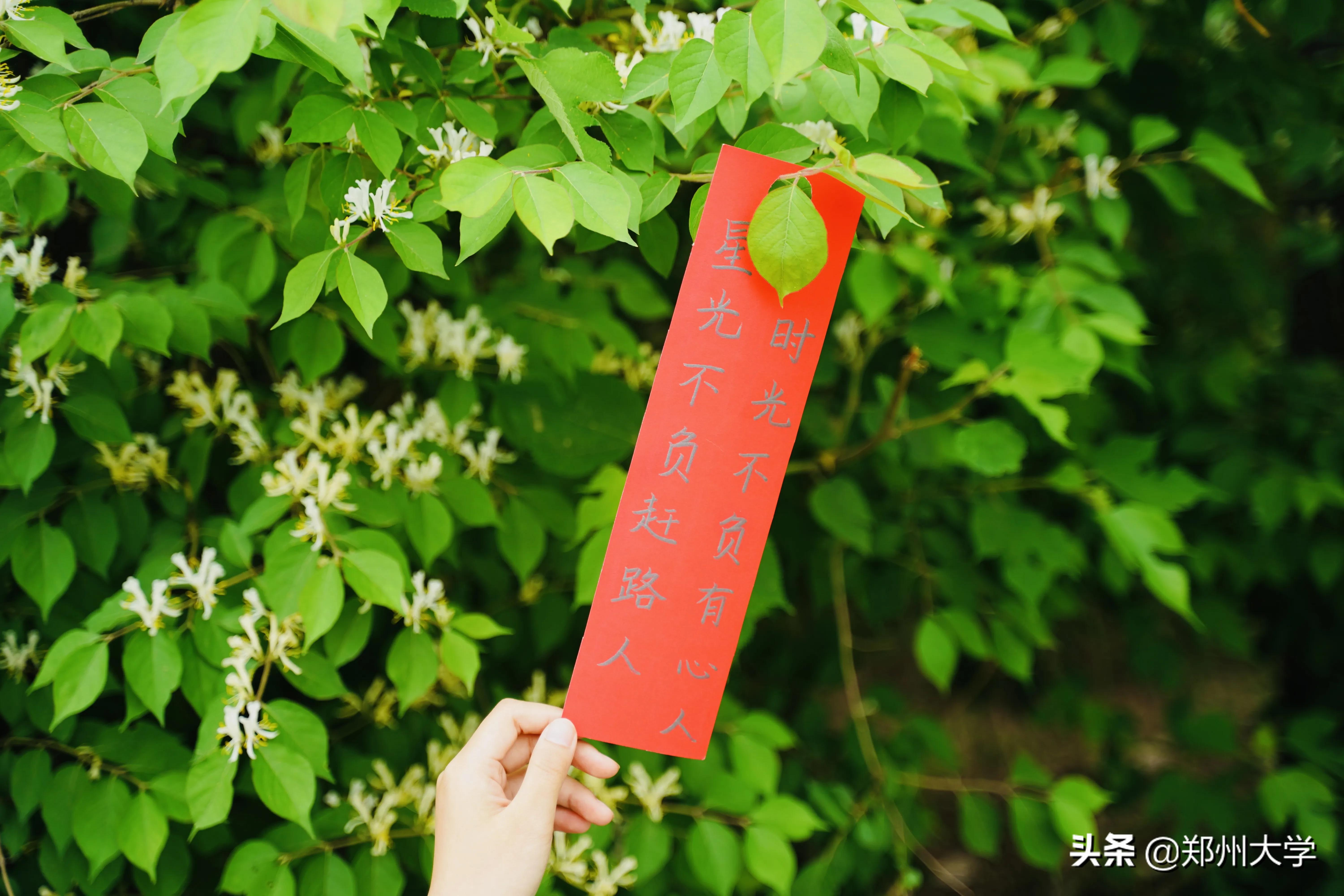 高考倒计时50天！请收下来自郑大厚山的祝福！