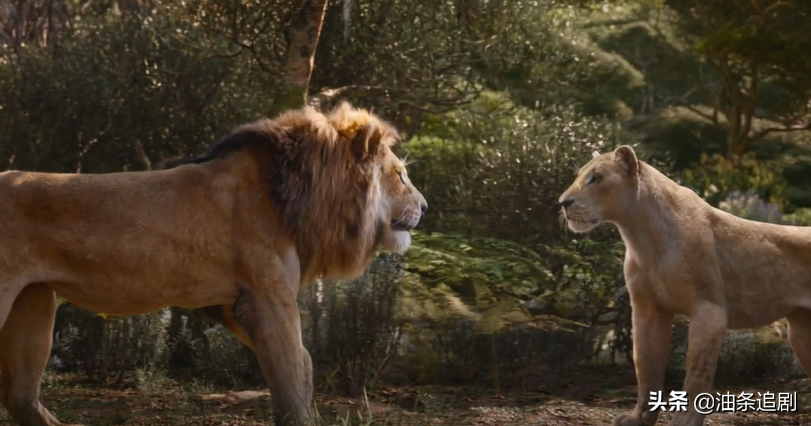 《狮子王》：陌生的真实，熟悉的经典