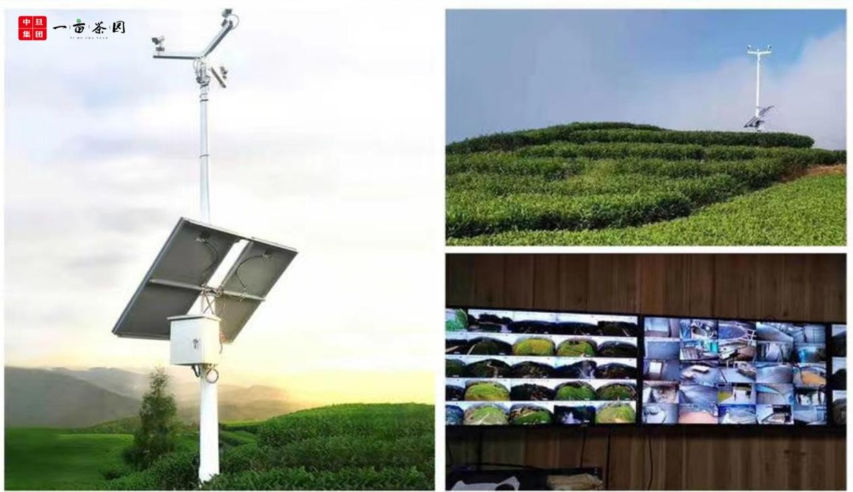 �е�һĶ��԰������ũҵ���������������ͬ��ԣ