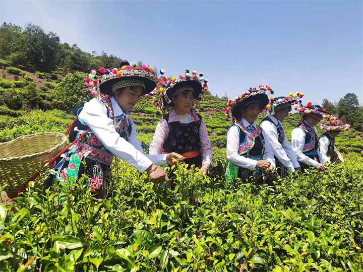 南华县文化和旅游局“五举措”推进作风革命见行见效
