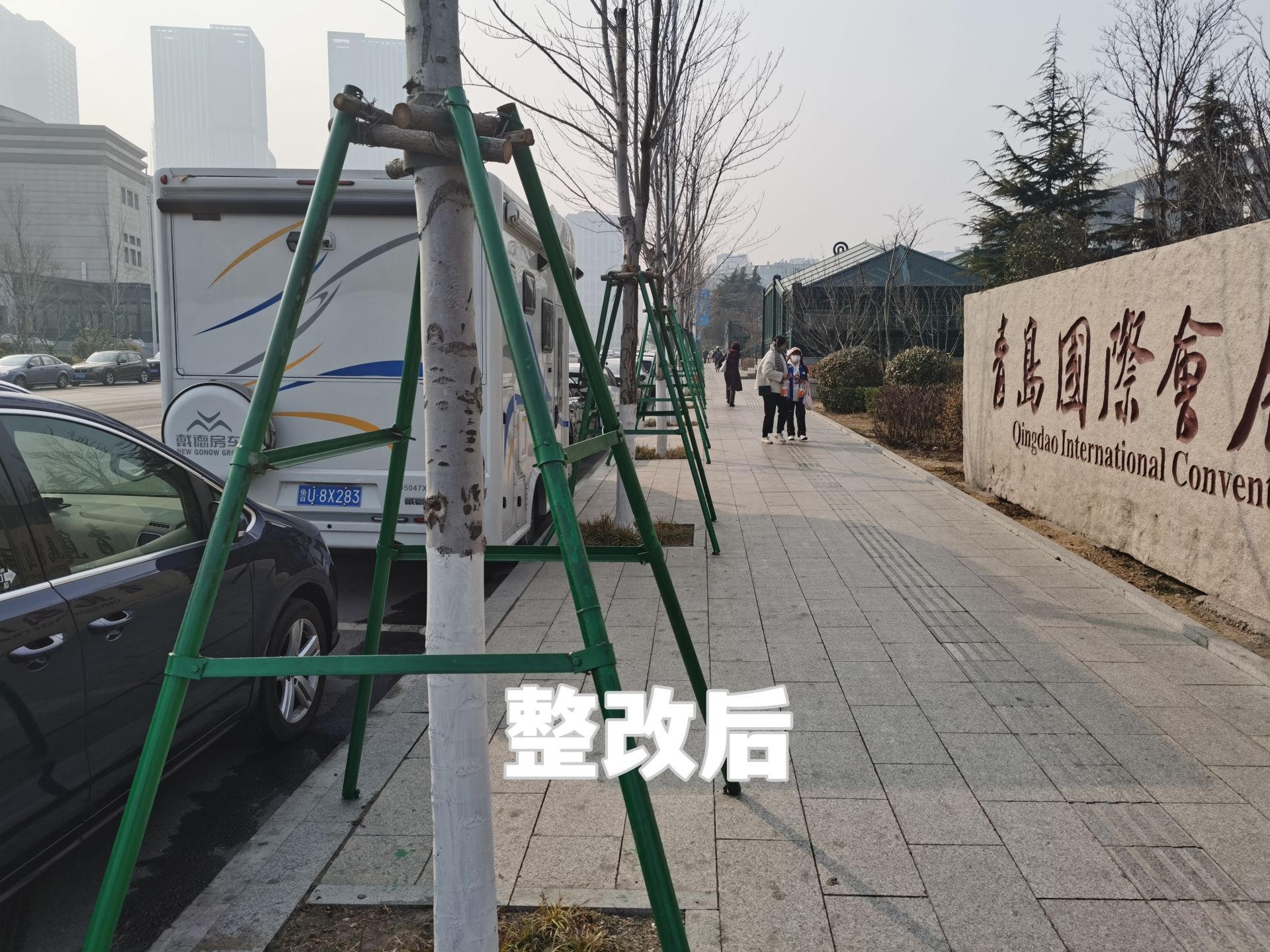 树木支撑架维修完成 苗岭路街景提升