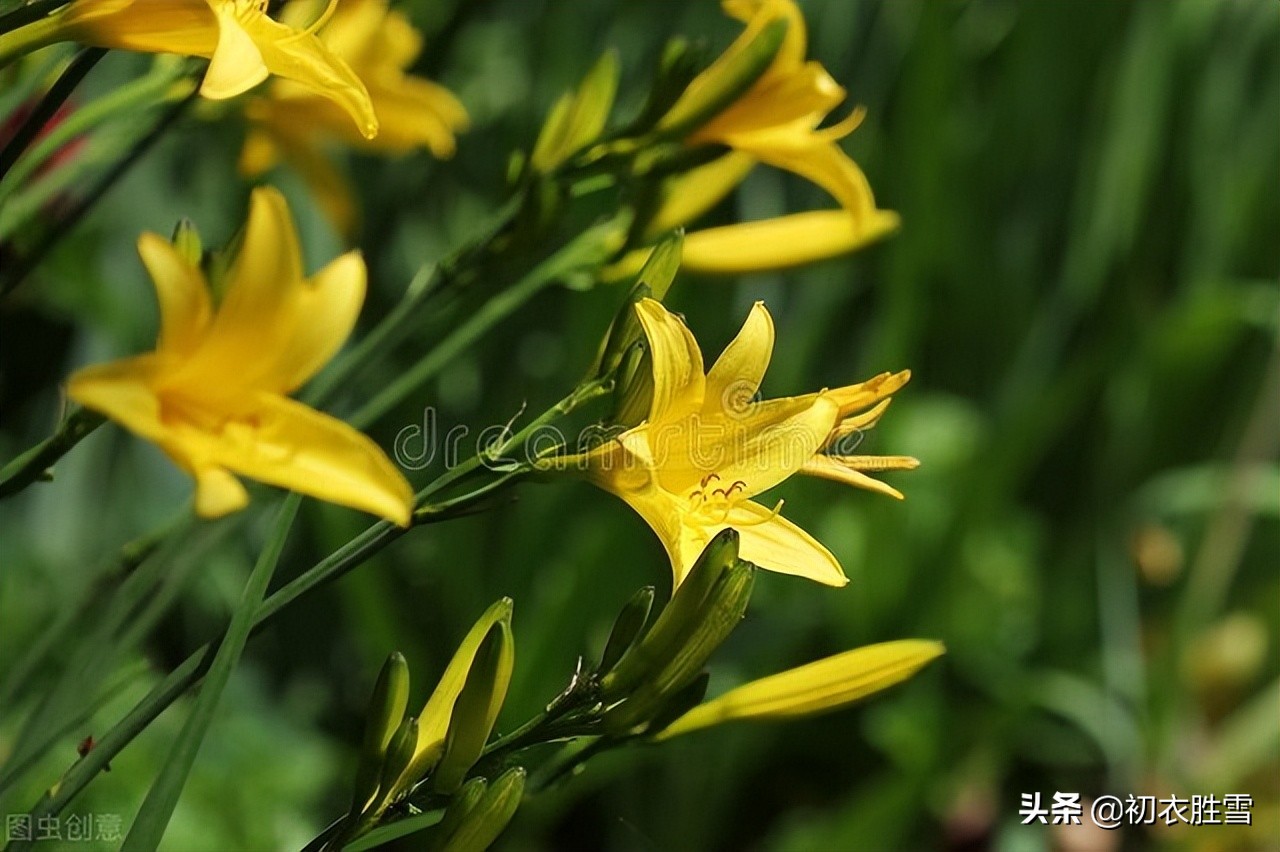 母亲节致敬母亲，诗经母亲古诗两首赏读：有子七人，母氏劳苦