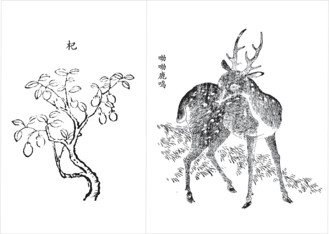 蒹葭原文拼音版,关雎原文拼音版-友友