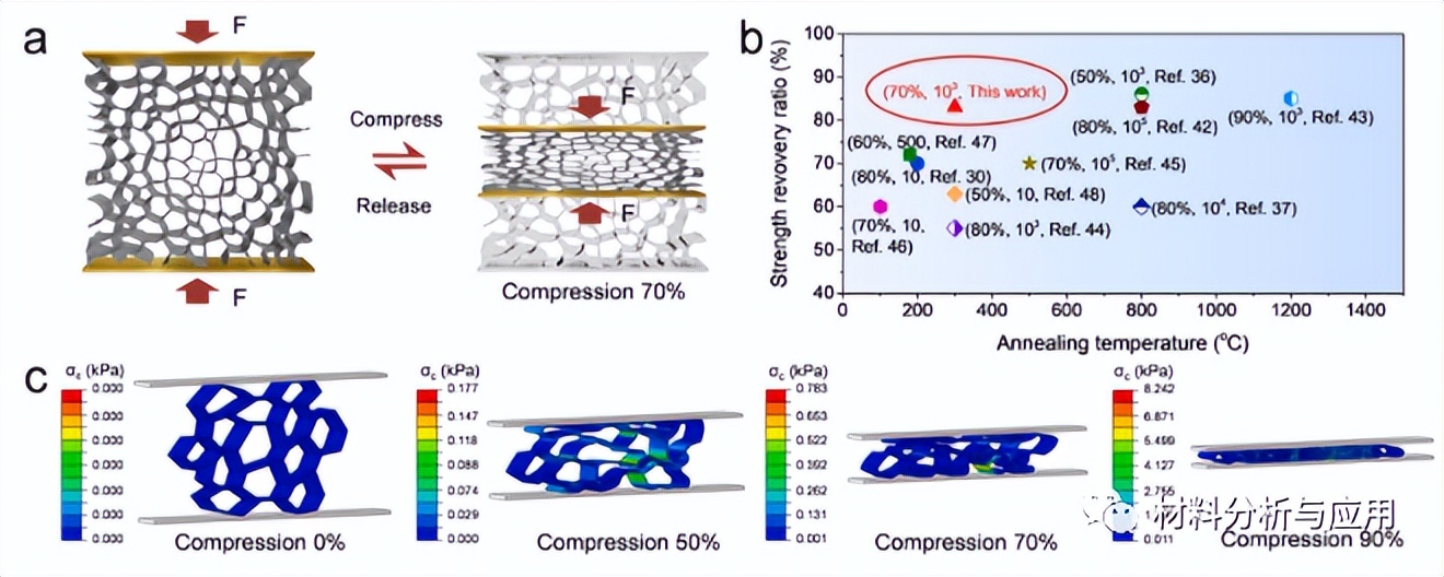 河北工业大学等超弹性石墨烯气凝胶研究取得进展
