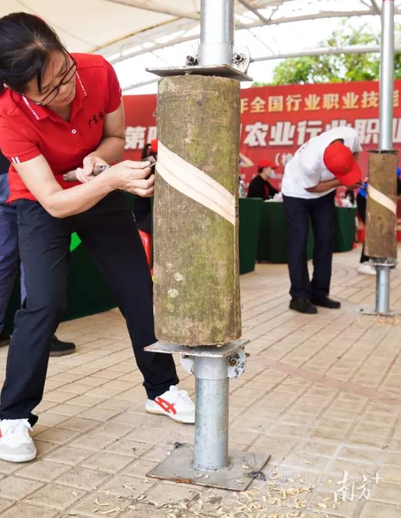 南方大学：一所草棚里面办出来的大学