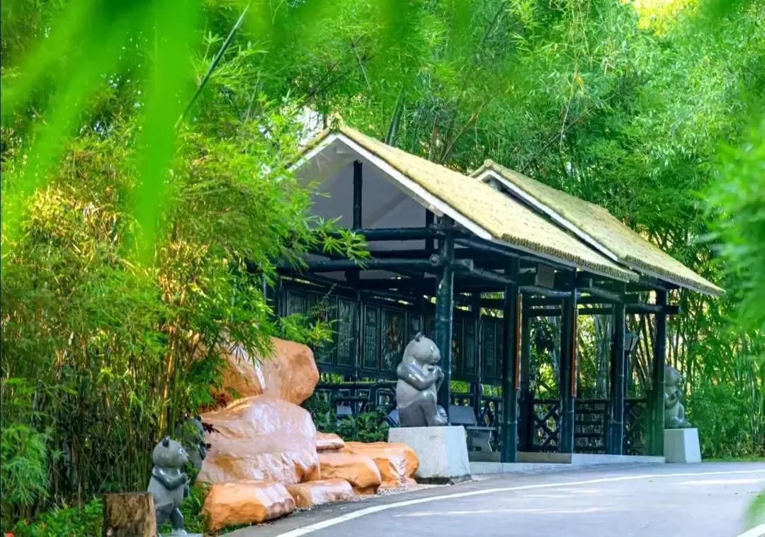 罗湖翠竹公园图片