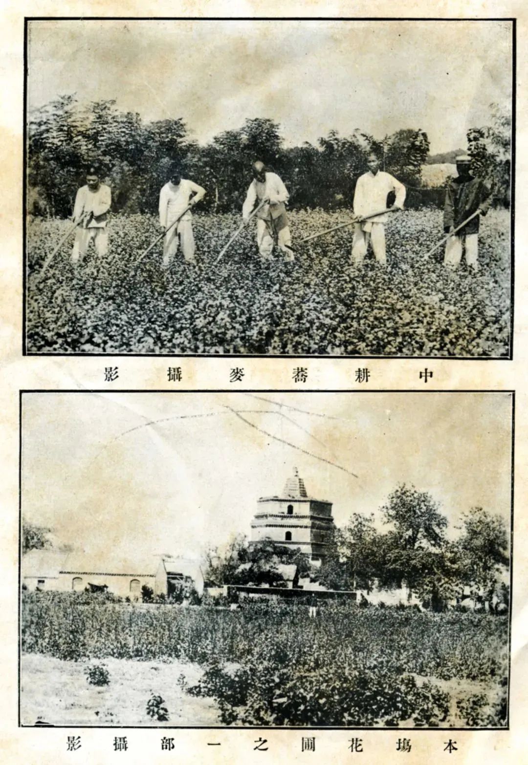 倒计时100天！河南农大120岁生日又近了