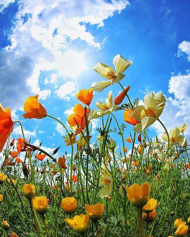 朋友圈小清新早安说说，短小精致，一秒倾心