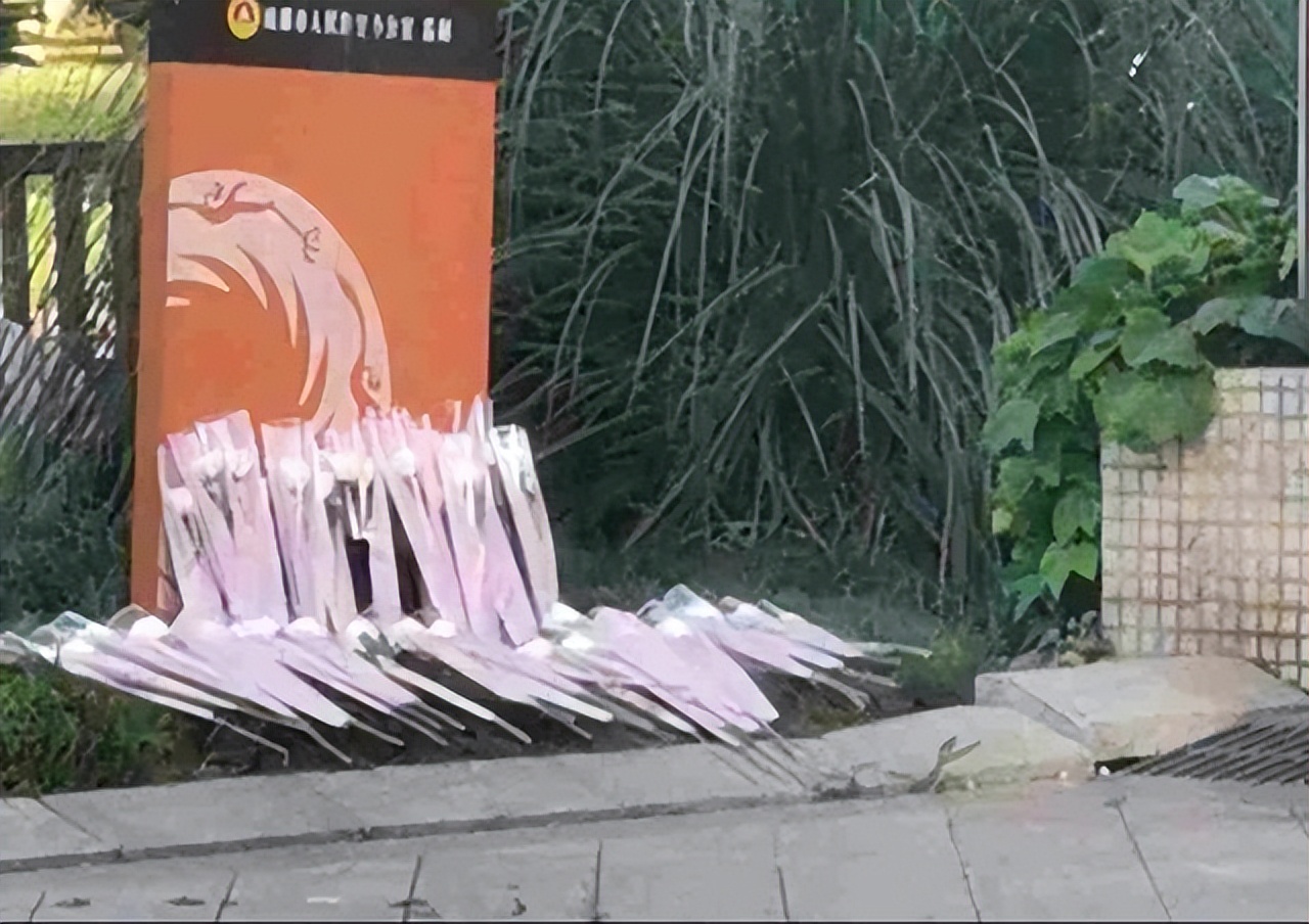 四川一高校研二女生坠楼，生前和母亲聊天无异样，死因成谜