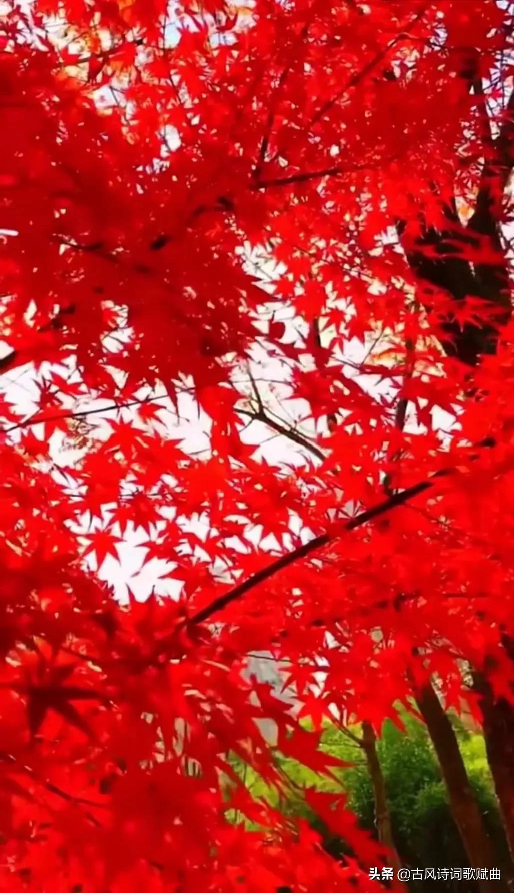 100句唯美而又温暖人心的句子，简短文艺，直抵心灵