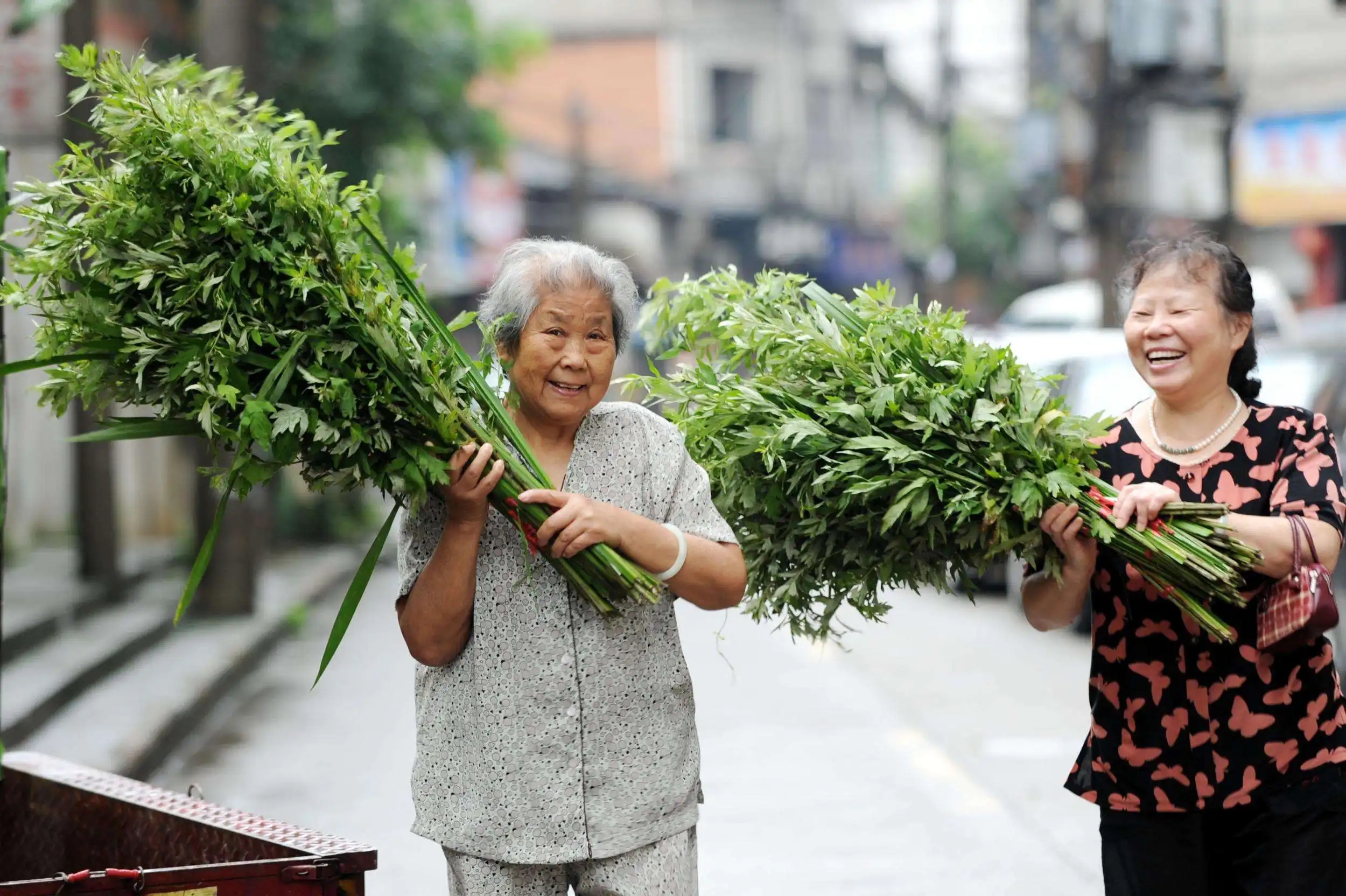 明日端午节，记住“1不丢、2不采、3要忌”，传统习俗不能忘