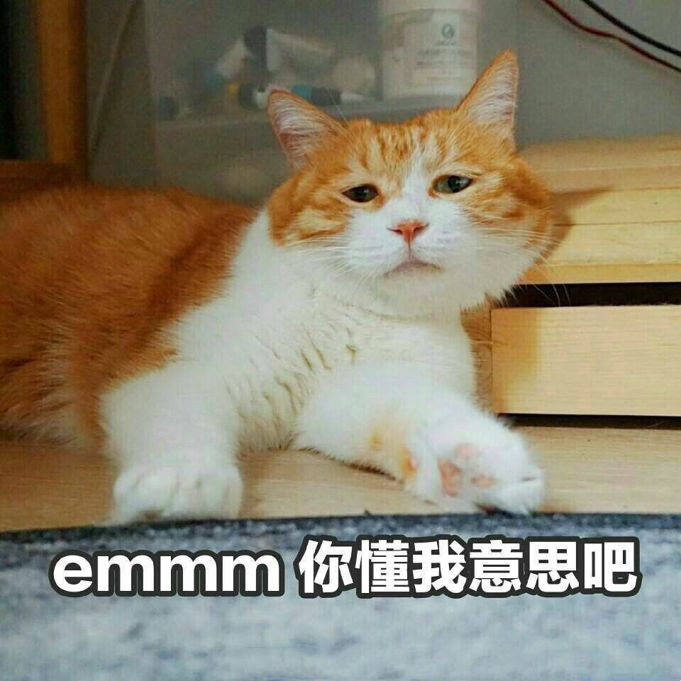 台圈男性艺人情感争议盘点：从出轨到劈腿的十位代表性人物