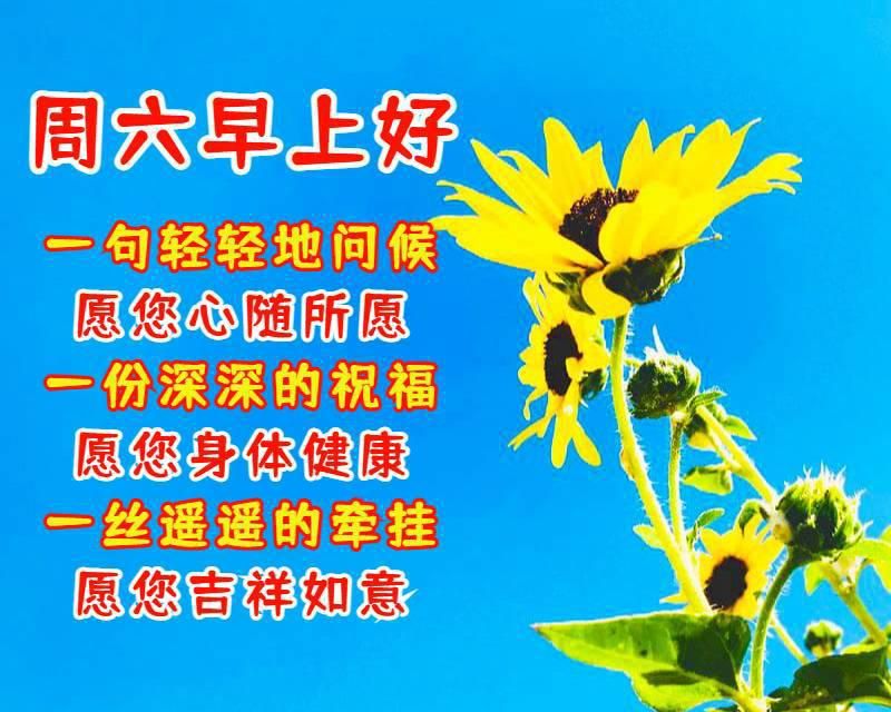 好朋友早上好祝福语优美句子 老朋友早安祝福语祝福图片