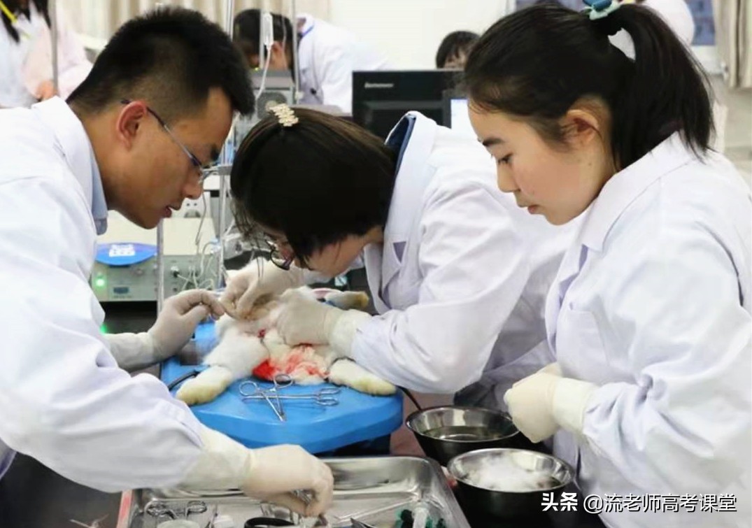 越努力越幸运，普通二本医学院校，9名临床医学生考上北大研究生