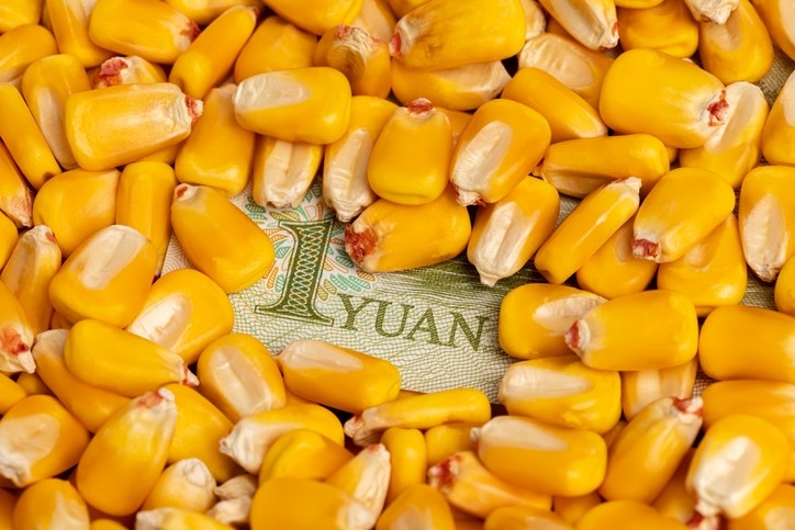 国际玉米供应减少，国内多方主体入市收购，玉米价格继续上涨