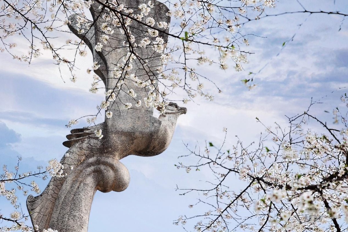 湖北“超美”大学：占地5195亩，宿舍6部电梯，坐拥26栋文物建筑和1000株樱花！