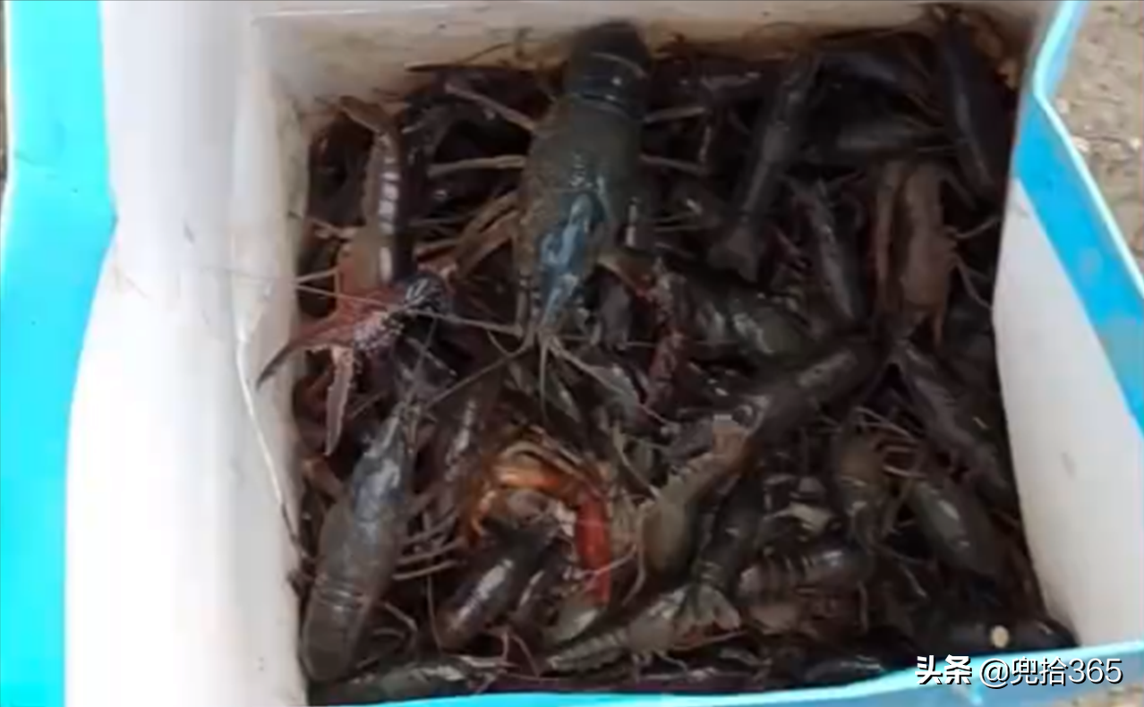 ����ѧ������Ů���ѵ�С��Ϻ��6��Сʱ����һ��࣬���ѣ��ھ���