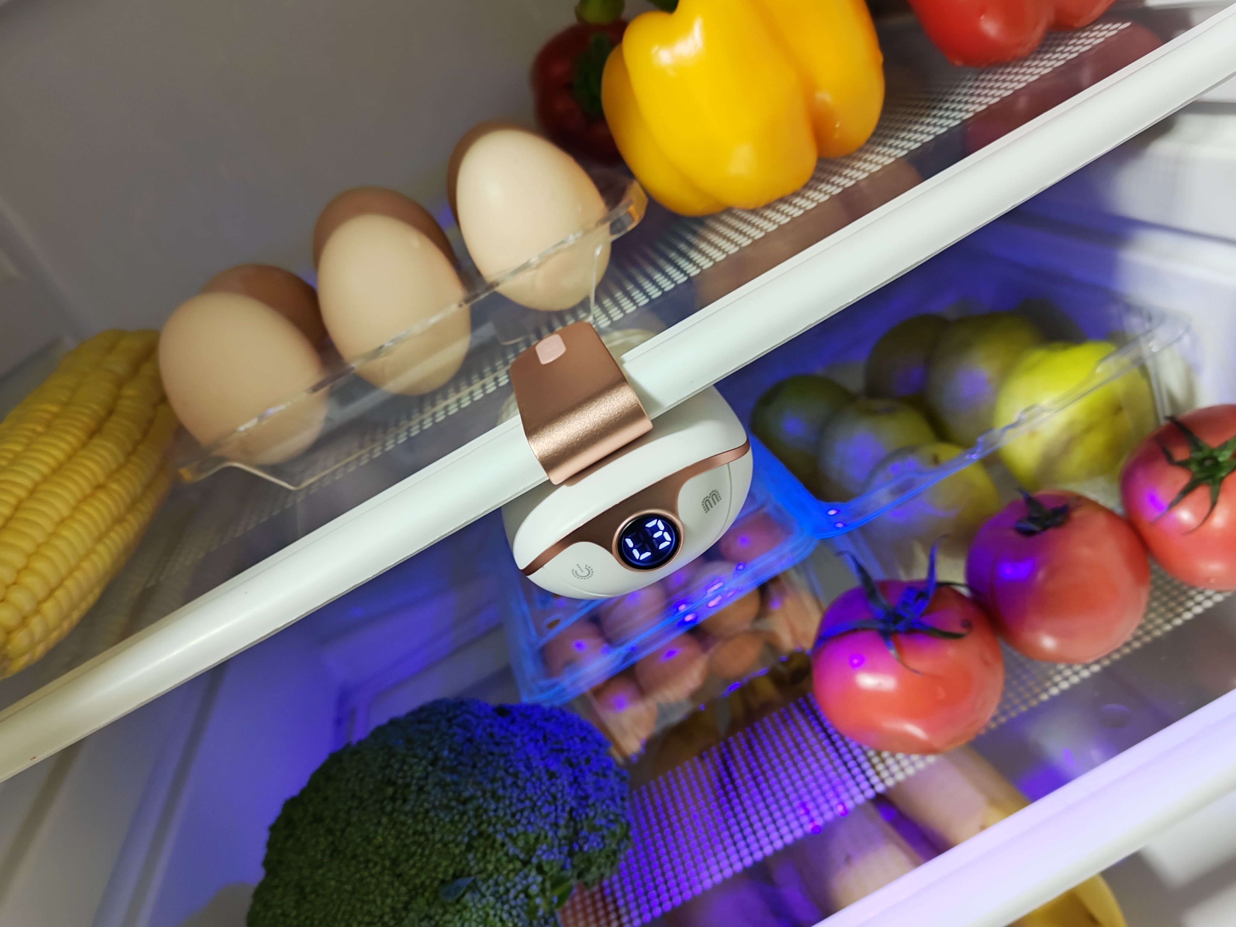 静享健康“鲜”生活，从冰箱杀菌开始——清迦冰箱杀菌除味器体验