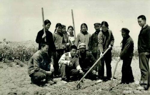 「知青岁月」北大荒真不愧是肥沃的土地