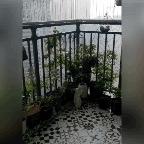 日子过久了才发现，一些看似“精致”的设计，其实很“鸡肋”
