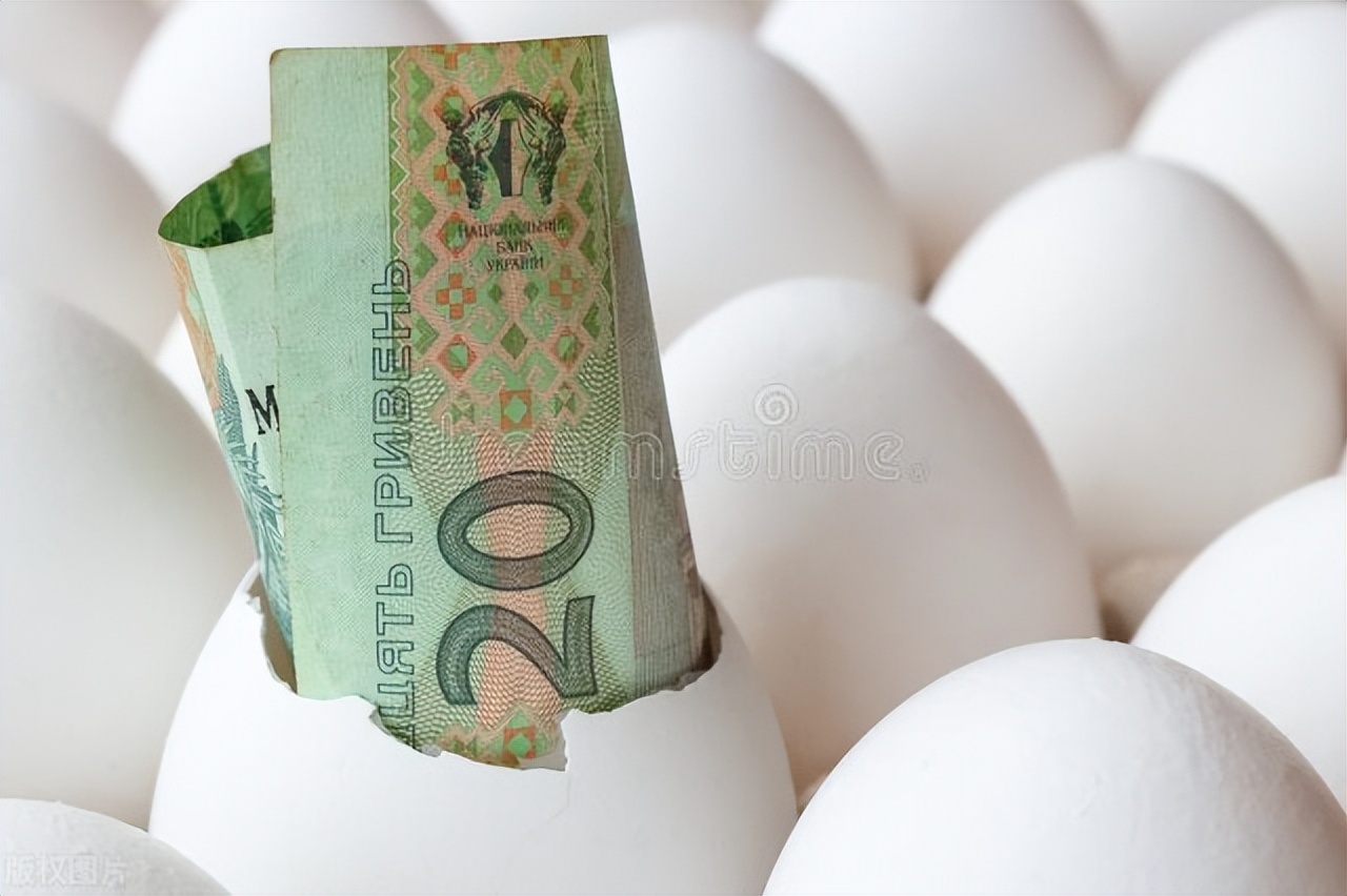 2023.3.11日鸡蛋价格稳中有涨