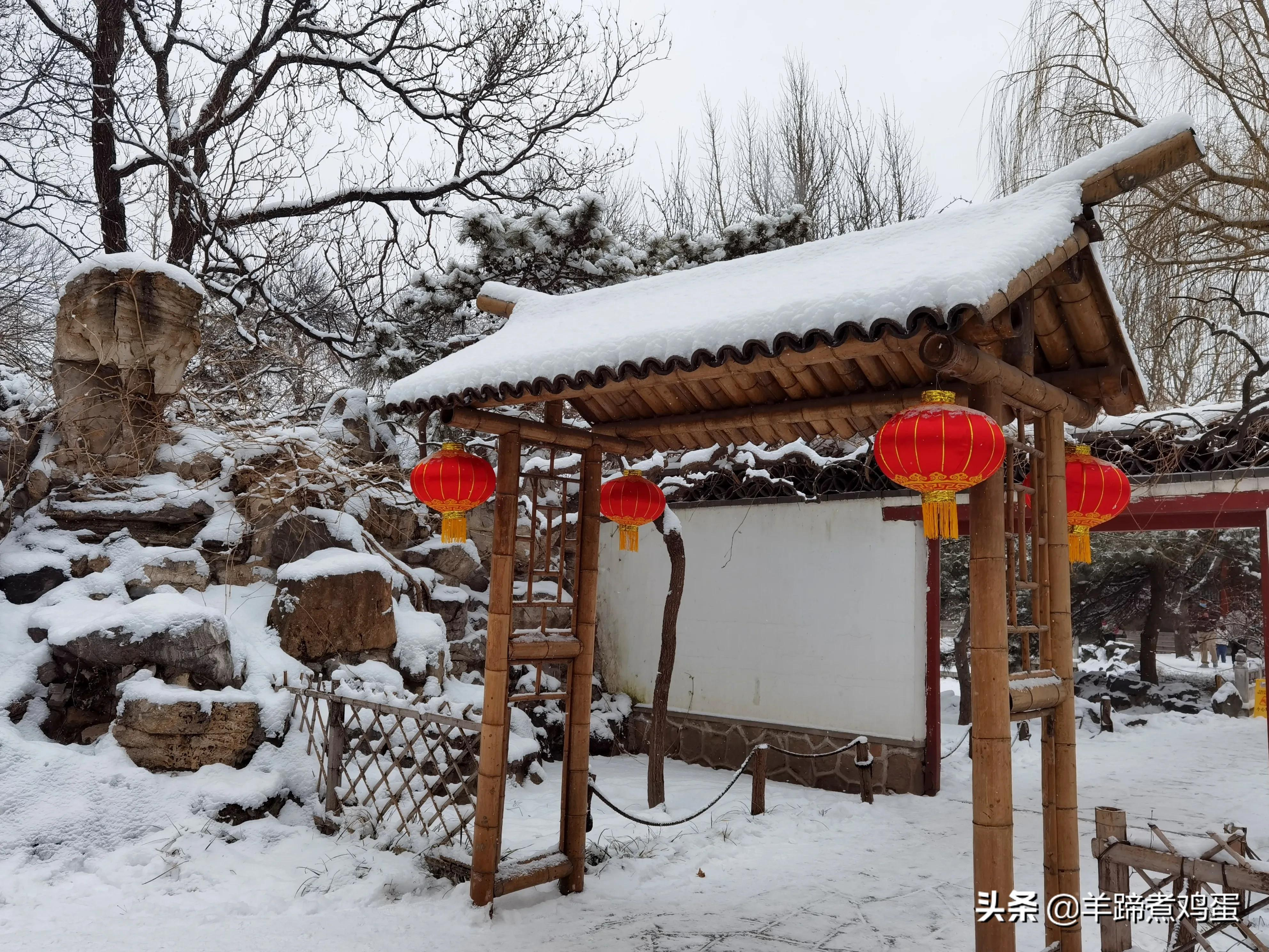 难览观园全画景雪覆腊梅一隅香——踏雪寻游北京大观园