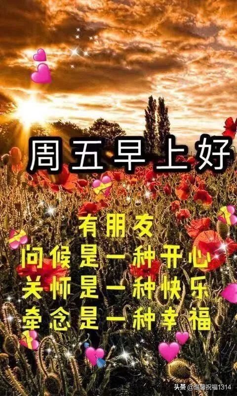 新版群发星期五早上好问候语图片 唯美清晨早上好祝福语阳光句子