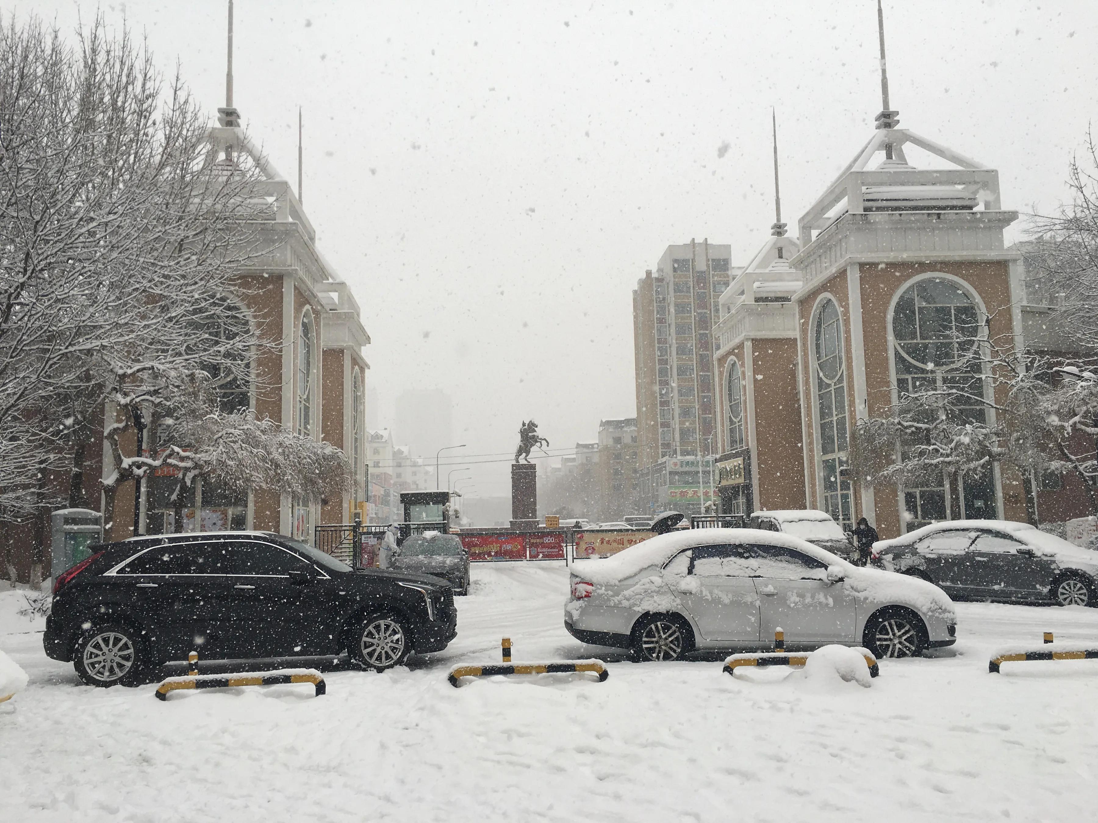 金字经：长春疫情风雪中的志愿者/词林正韵