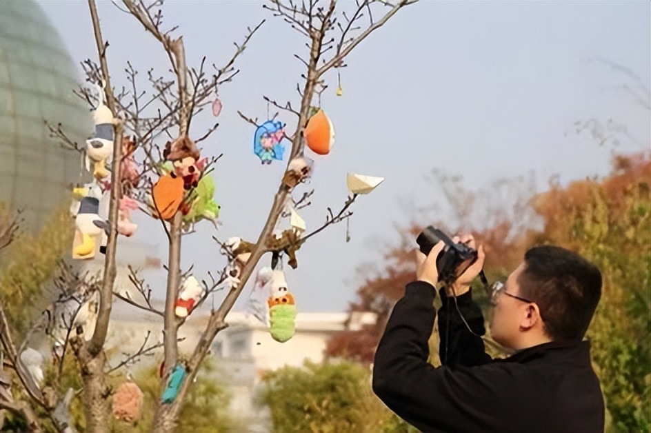 来金陵城，观长江波澜，枕九乡水脉，与南京财经大学共奋进