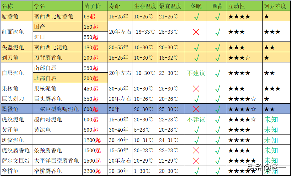 漂唇价格表入门乌龟怎么选