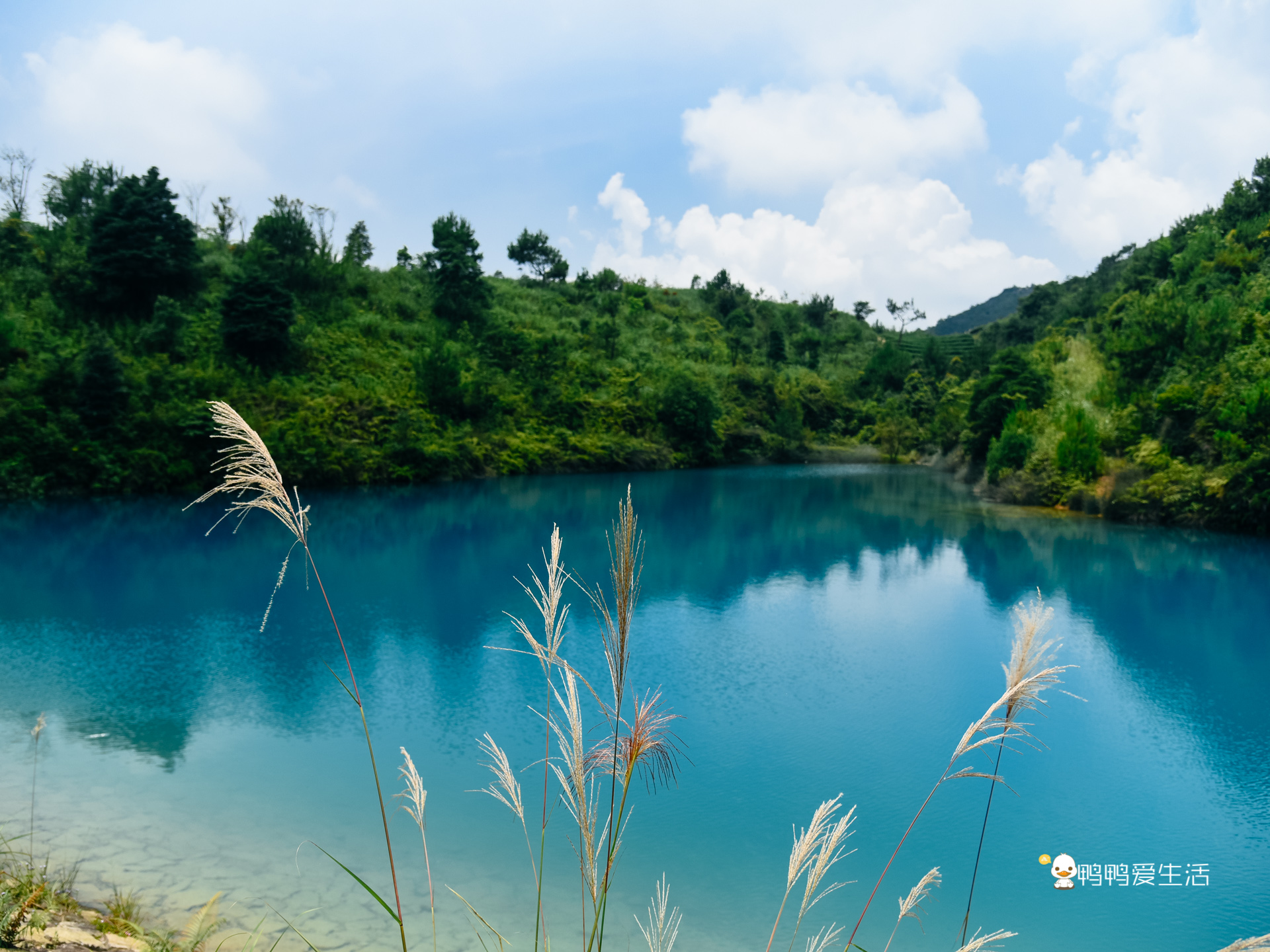 同安好玩的景点有哪些(同安附近景点有哪些好玩) - 风集网