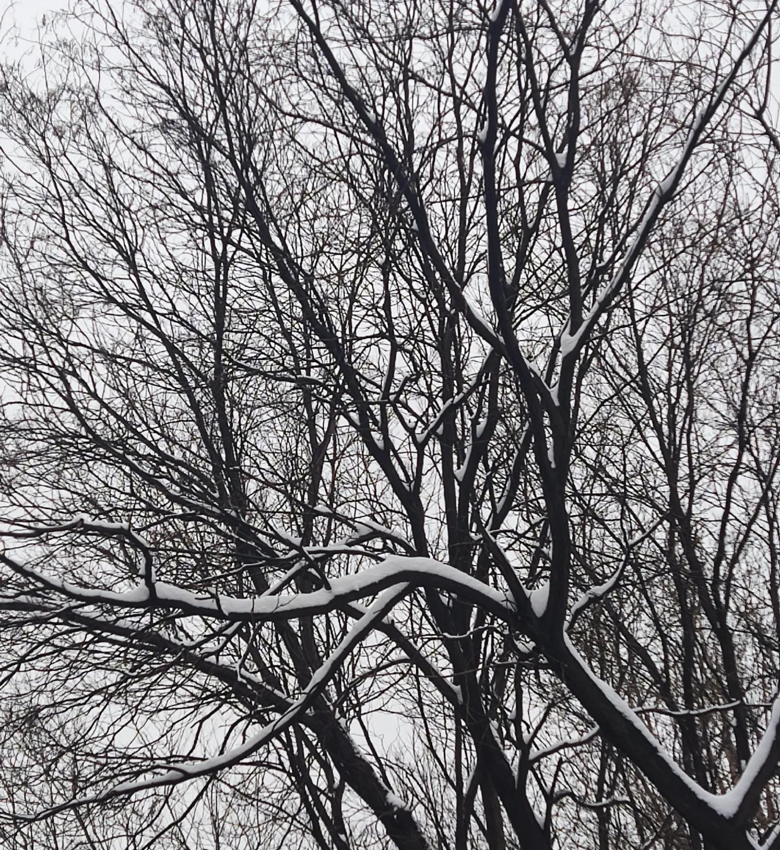 春雨贵如油，春雪怎么说