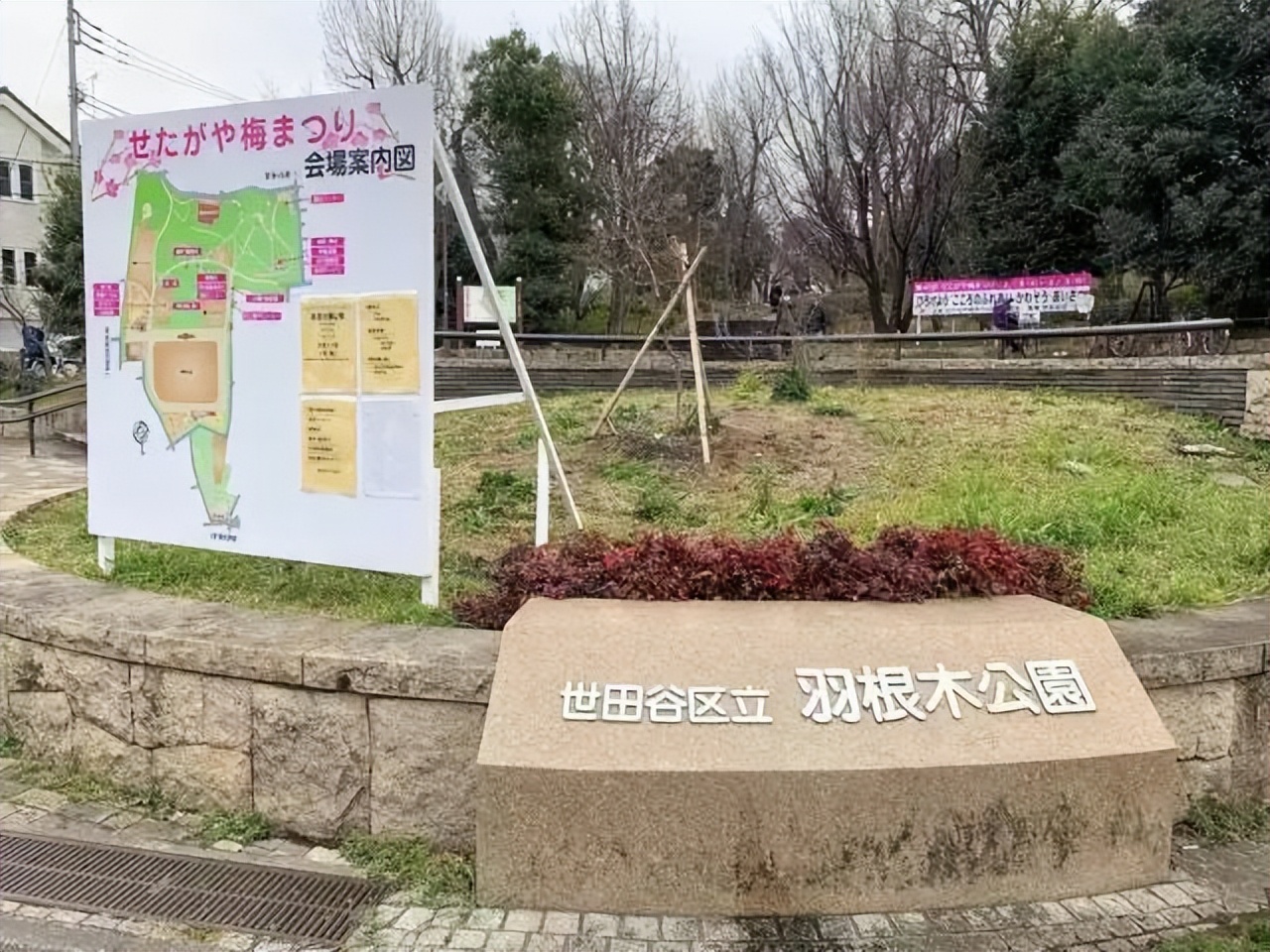 生猛的自然游乐场及精彩案例