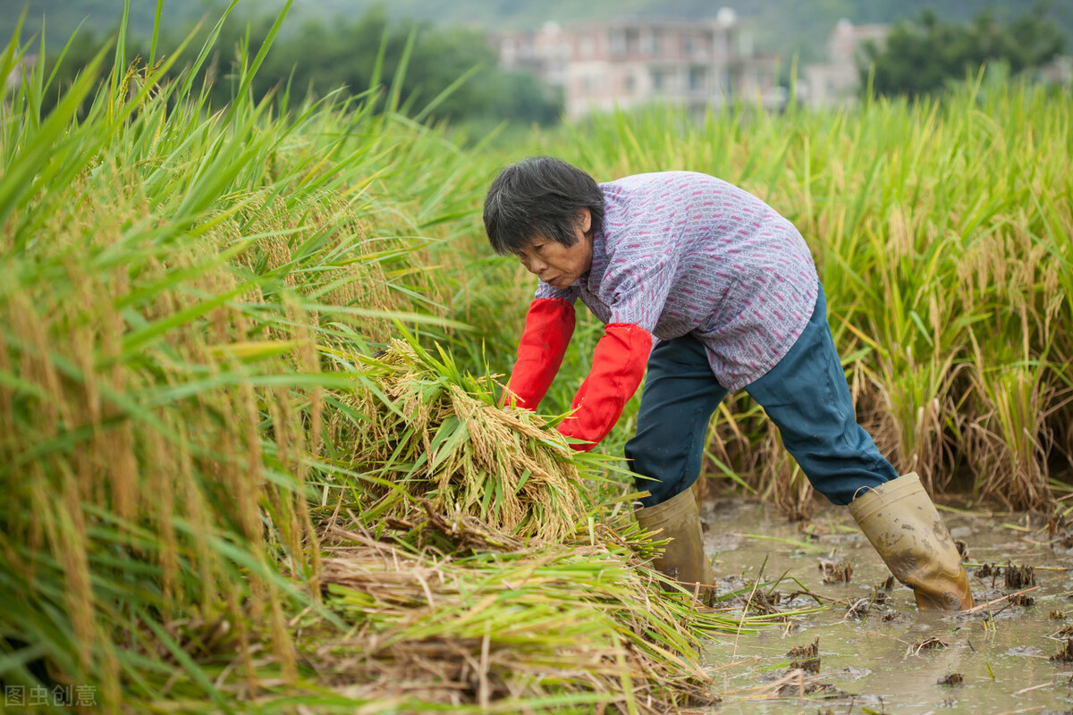 城乡居民养老金人均179元，企业职工养老金人均3000元，差在哪？