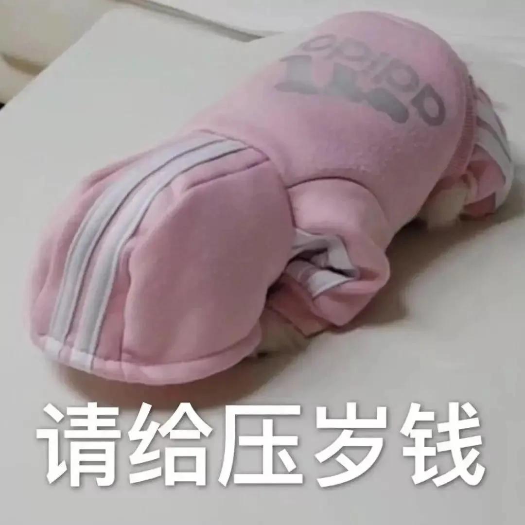 关于想的心情说说配图「幽默」 _qq说说网