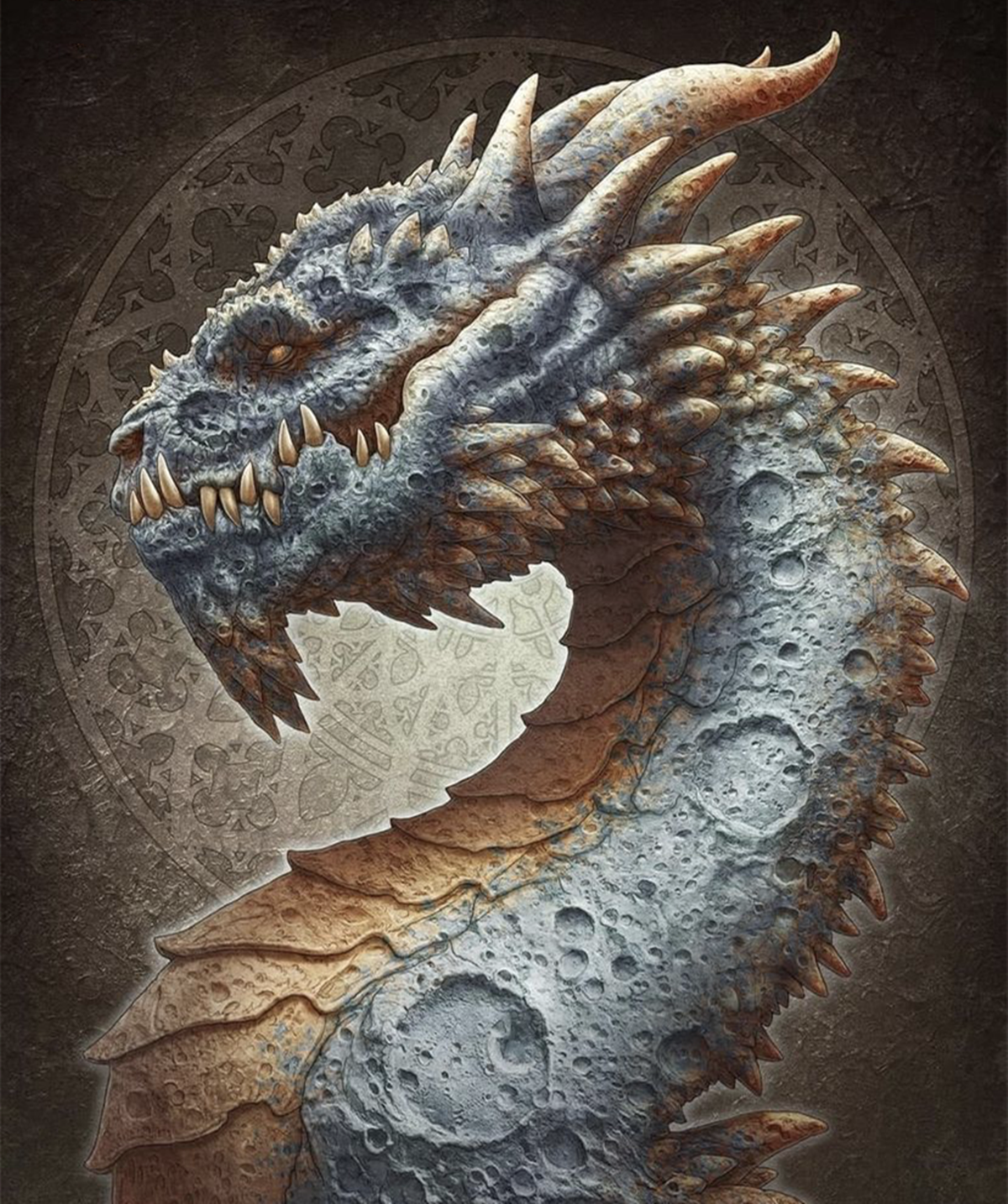 不同种类的巨龙