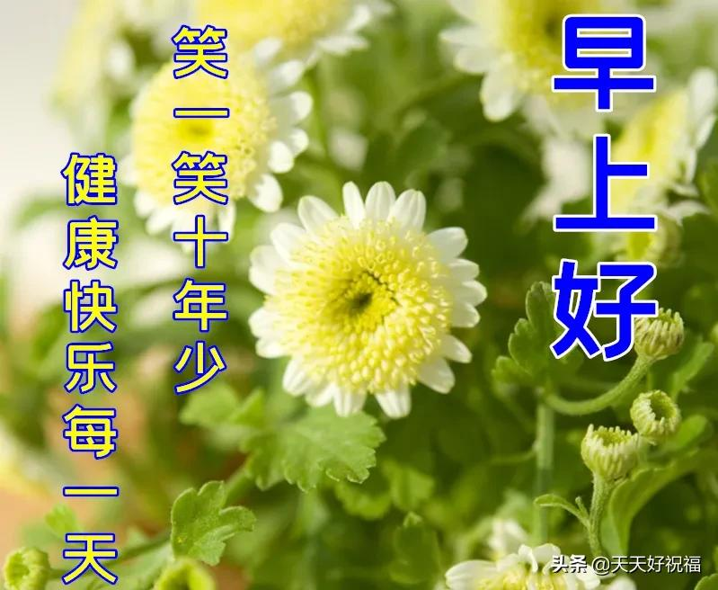 2月日正月二十最新特漂亮早上好图片 最美风景早上好美图大全 有关花的图片大全图片 佳辰