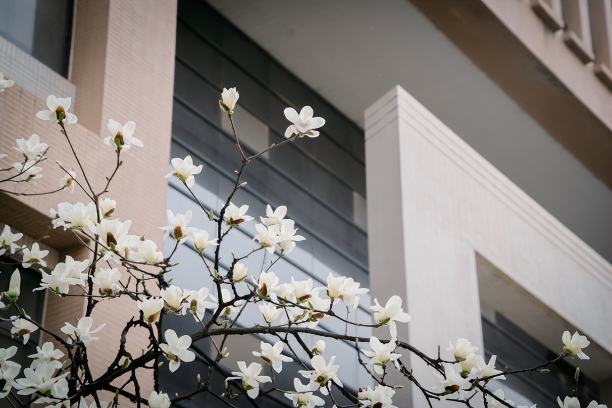 就业满意率、对口率