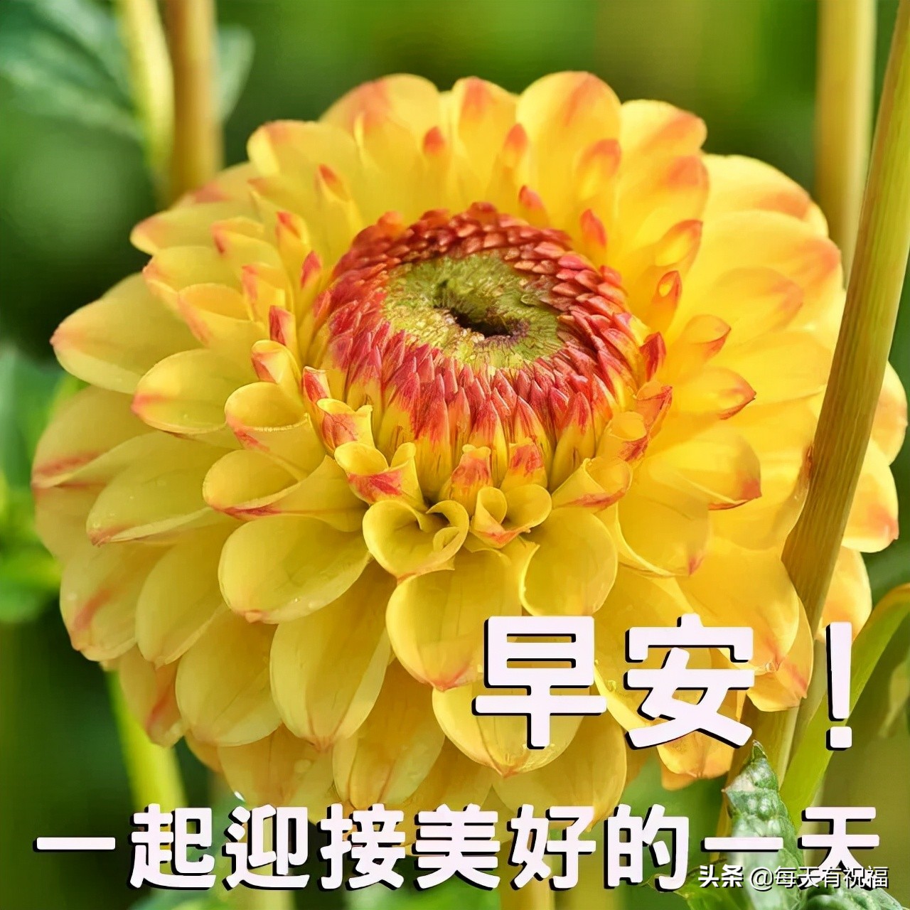 最好的祝福语早安祝福温暖的心句子给朋友温暖的早安问候精选图片