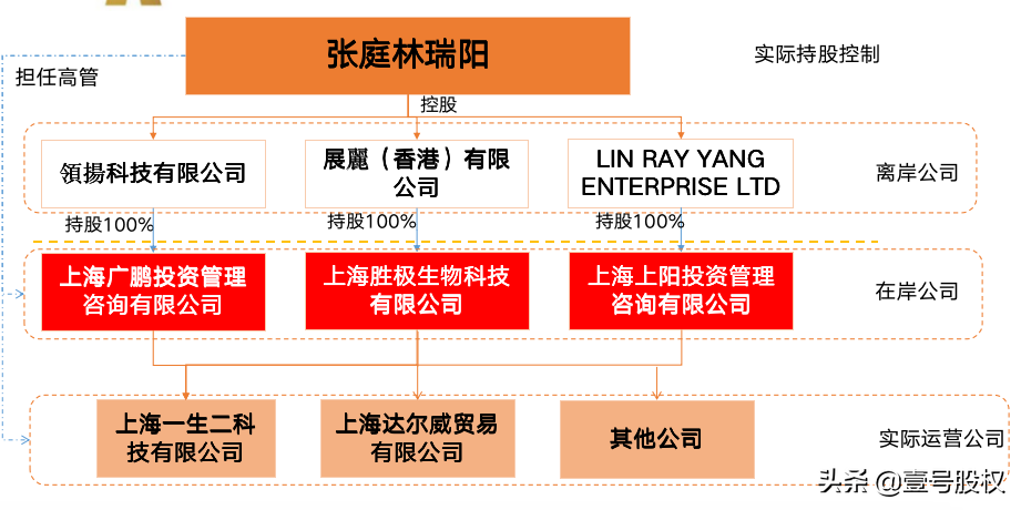 公司股权结构,公司股权结构怎么写