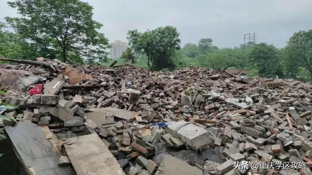 鲤鱼池小学新校？宏帆鲁巴扩建？江北众多板块加速学校建设